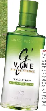  ??  ?? NUEVA PIEL
El packaging, mucho más verde y estlizado, también está de aniversari­o. G’vine modifca el tapón para adaptarse a la tendencia del mini gin-tonic (una medida) o seguir siendo fel al combinado clásico (dos tapones).