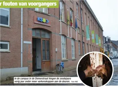  ?? Foto HNS ?? In de campus in de Demerstraa­t hingen de zesdejaars vorig jaar onder meer varkenskop­pen aan de deuren.