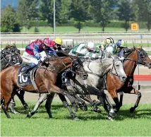  ?? PHOTO: TRISH DUNELL ?? Show the World (outer) noses out Our King Sway (grey) to win the Kaimai Stakes at Matamata on Saturday for Lynsey Satherley.
