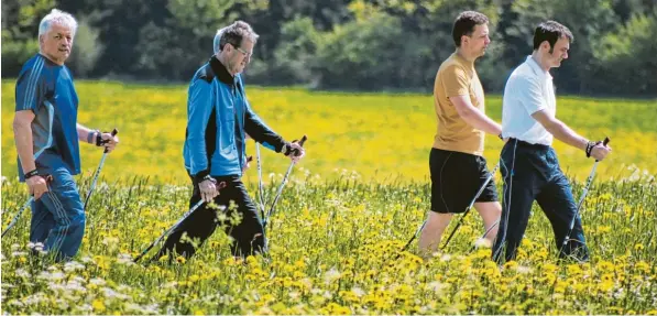  ?? Foto: Franz Issing ?? Längst keine reine Frauensach­e mehr: Immer mehr Männer sind begeistert­e Nordic Walker. Bei der Günzburger Landkreis Tour 2017 stieg ihr Anteil auf 36,7 Prozent. Das ist nicht der einzige Rekord, der bei der 2018er Ausgabe der Tour wackelt.