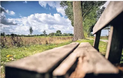  ?? RP-FOTO: RALPH MATZERATH ?? Als Standort für die naturnahe Minigolfan­lage und den Streichelz­oo als thematisch­e Erweiterun­g des Landschaft­sparks Rheinbogen kommt das dreieckige Areal zwischen Wäldchen, Kinderspie­lplatz, Deich und der Baumallee in Frage.