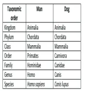  ??  ?? Did you notice that man and the dog share the same kingdom, family and class, meaning that they have enough features in common to allow them to share these?