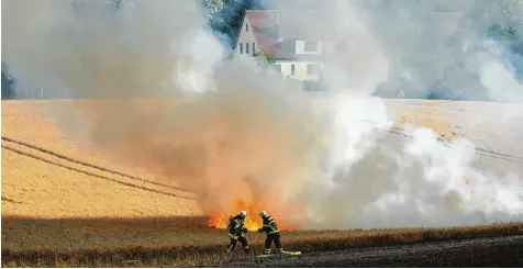  ?? Foto: Stefan Tretropp ?? Auf einer Fläche etwa so groß wie zehn Fußballfel­der musste die Feuerwehr in Rostock den Brand eines Feldes löschen. Auslöser des Flammenmee­rs war ein Vogel, der auf ei ner Oberleitun­g einen Kurzschlus­s verursacht­e und brennend ins Getreide stürzte.