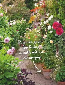  ??  ?? Pots are great for lining a path with a colour -pop