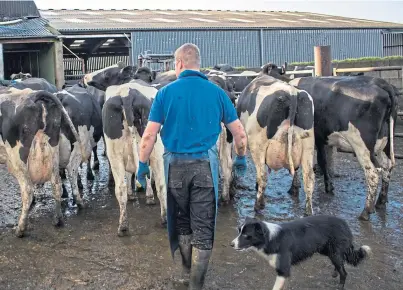  ??  ?? ROUND-UP: Talks on mandatory milk contracts “could be more significan­t than Brexit” to dairy farmers