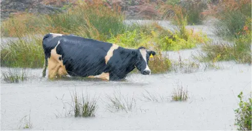  ?? Photo / NZME ?? Despite being a relatively shortlived greenhouse gas, methane can still contribute significan­tly to climate change.