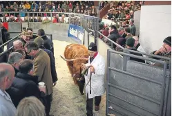  ?? Picture: Getty. ?? Sellers and buyers at the 126th two-day Highland cattle spring show and sale at Oban Livestock Centre.