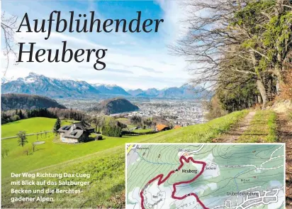  ?? BILD: SN/HEUGL ?? Der Weg Richtung Dax Lueg mit Blick auf das Salzburger Becken und die Berchtesga­dener Alpen.