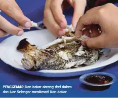  ??  ?? PENGGEMAR ikan bakar datang dari dalam dan luar Selangor menikmati ikan bakar.