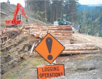  ?? Photo / NZME ?? Reduced harvesting capacity means New Zealand won’t be able to react as quickly to log price increases as before.