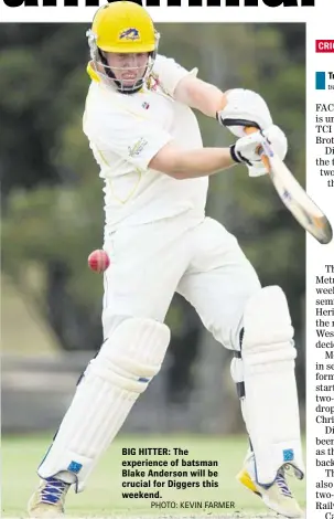  ?? PHOTO: KEVIN FARMER ?? BIG HITTER: The experience of batsman Blake Anderson will be crucial for Diggers this weekend.