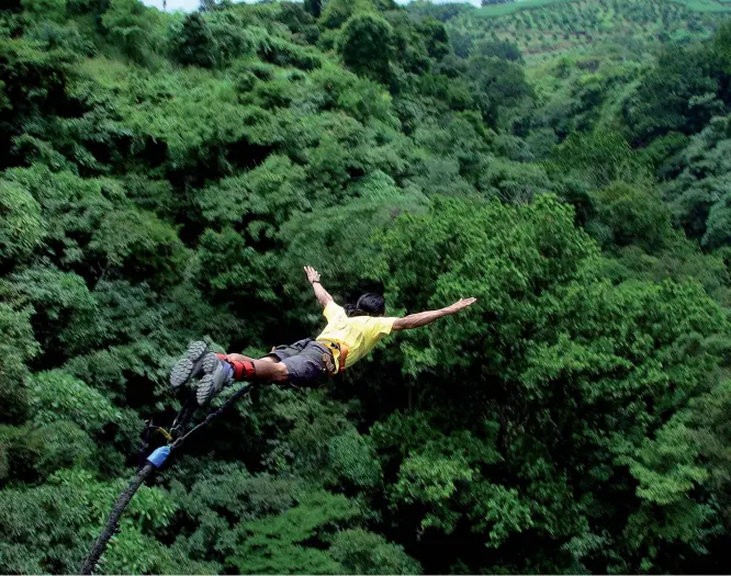  ??  ?? Las tupidas selvas americanas son un regalo no solo para los amantes de la naturaleza, sino también para los que gustan de los deportes extremos. The lavish American jungles are a gift not only for those who love nature, but also for extreme sport buffs.