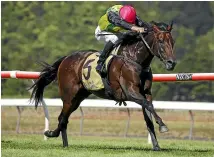  ?? GETTY IMAGES ?? The Chosen One is out to atone at Doomben today for a disappoint­ing Sydney Cup run, but sodden track conditions won’t help.