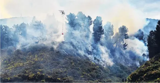  ?? PHOTOS: GERARD O’BRIEN ?? A helicopter drops water on to a gorse fire off State Highway 1, near Waikouaiti, yesterday.