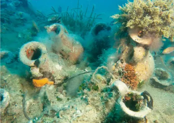 ?? GEO DELVEROUDI­S/THE ASSOCIATED PRESS ?? Marine life grows on ancient terracotta jugs at the site of a shipwreck from more than 1,600 years ago off the coast of Albania.