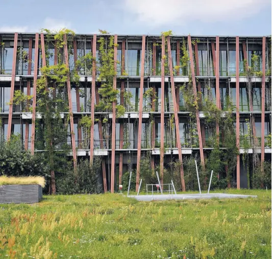  ?? ?? Wenn schon Neubau, dann nachhaltig: Die grüne Fassade des Physik-Instituts in Adlershof speichert Regenwasse­r und CO2.