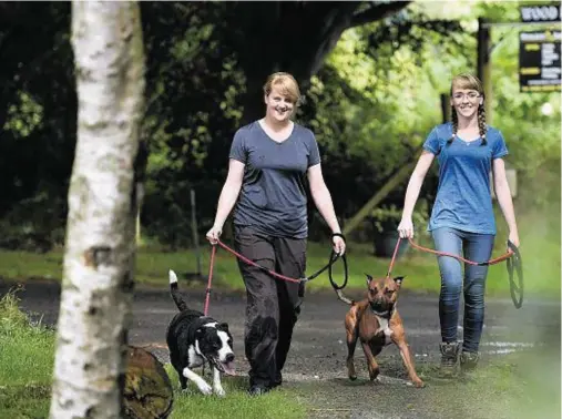  ??  ?? RESCUE DOGS: April MacIntosh, left, and Susie Allan with Titan and Tye two ‘anti-social' dogs which are to be rehomed