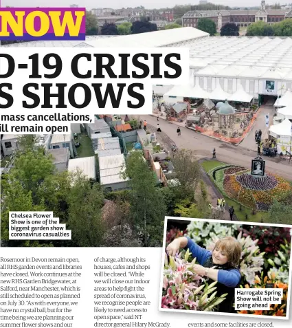  ??  ?? Chelsea Flower Show is one of the biggest garden show coronaviru­s casualties
Harrogate Spring Show will not be going ahead