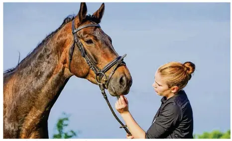  ??  ?? Pour ces cas de maltraitan­ce animale, la peine de prison prononcée est de 24 mois avec sursis.