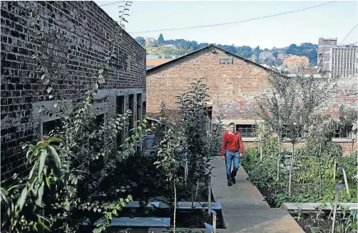  ??  ?? The Victoria Yards developers have planted food gardens in the precinct as part of their alternativ­e approach to urban renewal.