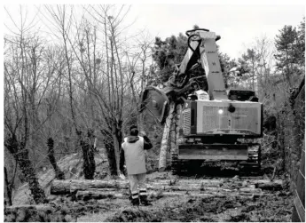 ??  ?? L’abattage des arbres nécessaire à la réalisatio­n du Tram 13 Express a démarré à proximité du château de Saint-germain-en-laye