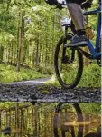  ??  ?? Auf Forstwegen ist Radfahren erlaubt. Streit gibt es, wenn Radler auf Rücke gassen und Pfaden im Wald unterwegs sind.