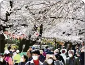  ?? PTI ?? Visitors wearing face masks walk under cherry blossoms at Ueno Park in Tokyo, Tuesday