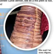  ?? ?? Elle avait l’air assez dégueu, l’hôtesse HEIDI KLUM, en ver de terre gluant. Comme chaque fois, elle avait mis le paquet. Courageuse, sa fille, la mannequin LENI KLUM, a quand même eu envie de lui faire un câlin!