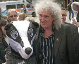  ?? PHOTO: PA ?? Brian May, with a ‘badger’. His remarks have upset Jews in Gloucester­shire
