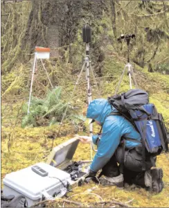  ?? National Park Service ?? A National Park Service staff member sets up an acoustic recording station in the old-growth Hoh Rain Forest of Olympic National Park in Washington.