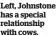  ?? ?? Left, Johnstone has a special relationsh­ip with cows.