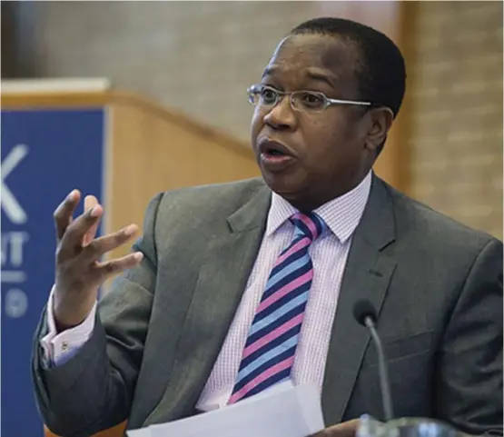  ?? ?? Finance minister Mthuli Ncube