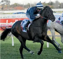  ?? PHOTO: GETTY IMAGES ?? Supido wins the Monash Stakes in Melbourne last weekend.