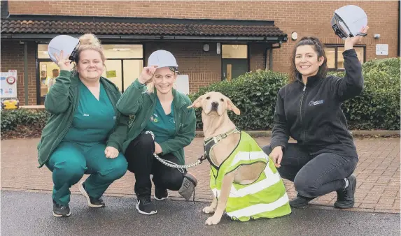  ?? ?? From left, veterinary nurse Nina Cuppitt, senior veterinary nurse Louisa Crabtree and senior veterinary surgeon Rebecca Dobinson with Jax the Labrador outside the new premises.