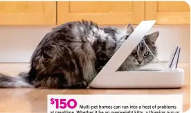  ?? ?? $ 150
Multi-pet homes can run into a host of problems at mealtime. mealtime Whether it be an overweight kitty, a thieving pup or a prescripti­on diet, the microchip reading pet feeder from Sure Petcare can help! This feeder only opens when an authorized pet tries to eat and closes again when they leave. It also helps keep the food fresher, longer. SurePetcar­e.com