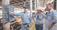  ??  ?? Visiting a feedlot in Vietnam are (from left) James Bredhauer from Aussie Pork Suppliers, TSBE’s Helen Ward and Matt Barnes from Running Gully Meats.