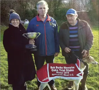  ??  ?? It was a Kerry victory at Newcastlew­est coursing when Doneen Cathy won the Oaks trial stake for owners Nick Cotter and John Walsh from Knocknagos­hel seen here receiving the cup from sponsor Nora Raleigh. Photo by Moss Joe Browne