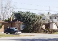  ?? JULIE JOCSAK/STANDARD STAFF ?? A large tree fell on a house at 364 Geneva St.