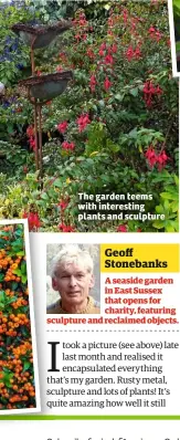  ??  ?? The garden teems with interestin­g plants and sculpture A seaside garden in East Sussex that opens for charity, featuring sculpture and reclaimed objects. Geoff Stonebanks