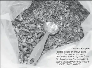  ?? Canadian Press photo ?? Roasted crickets are shown at the Entomo Farms cricket processing facility in Norwood Ont., in this 2016 file photo. Loblaw Companies Ltd. is adding cricket powder to its lineup of President’s Choice products.