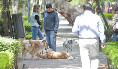  ?? ?? La Ley Cívica establece sanciones por dejar en la calle las heces