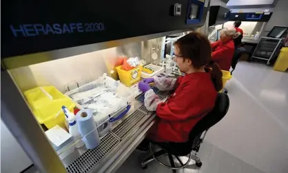  ??  ?? ‘What’s abundantly clear is that centrally directed programmes that overlook local expertise are unlikely to succeed.’ Scientists test coronaviru­s samples at the Lighthouse Lab in Cheshire. Photograph: Paul Ellis/AFP via Getty Images