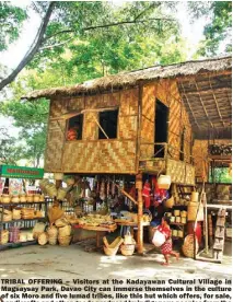  ??  ?? TRIBAL OFFERING – Visitors at the Kadayawan Cultural Village in Magsaysay Park, Davao City can immerse themselves in the culture of six Moro and five lumad tribes, like this hut which offers, for sale, handicraft­s and other goods produced by indigenous peoples from the hinterland­s of Paquibato and Marilog Districts. (Keith Bacongco)