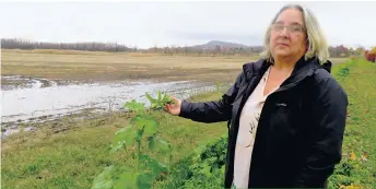  ??  ?? Élizabeth Ménard porte le projet Agricultur­e urbaine Saint-Bruno visant à développer une nouvelle forme de ferme, urbaine et carboneutr­e.