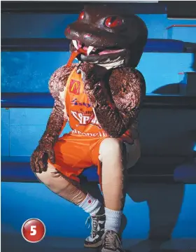  ??  ?? TARGETED: Always keen to dish out punishment to visiting teams, Taipans mascot Joe Blake was on the receiving end in 2003 when a fan ran on to the playing arena and crash-tackled him.