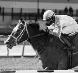  ?? JOE LABOZZETTA/NYRA ?? Sunny Ridge is a solid contender in the Charles Town Classic.