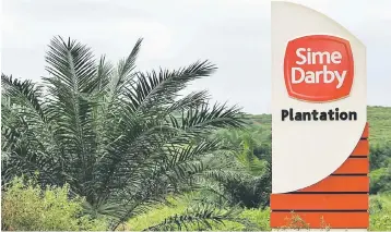  ??  ?? Based on its gigantic planted land bank area, Sime Darby Plantation is set to become the biggest public listed plantation company in Malaysia while also being able to boast of having the largest planted land bank in the world. — Reuters photo