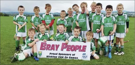  ??  ?? The Avondale Under-7 hurlers at the monster Go Games blitz in Ballinakil­l last Saturday afternoon.