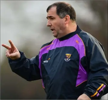  ??  ?? Wexford Senior football manager Seamus McEnaney.