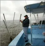  ?? AP PHOTO/GERALD HERBERT, FILE ?? In a 2011 file photo, Dave Cvitanovic­h, an oysterman who has worked the waters of Louisiana his whole life, works on his boat at one of his oyster beds in Bay Jimmy in Plaquemine’s Parish, La. His oysters were damaged by the fresh water diversion program by the state of Louisiana.